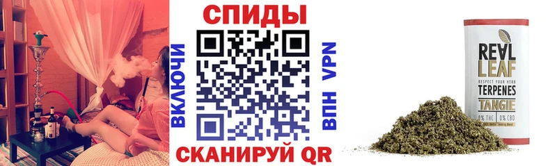 Купить закладки  Казань  Бутират BDO 33% 