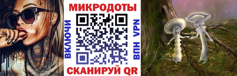 Псилоцибиновые грибы GOLDEN TEACHER  Купить где  Казань 